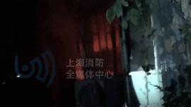 上海市徐汇区一住宅楼发生火灾 致2死(图5)