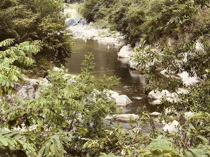 陕西勉县发生一起溺水事故 5人不幸溺亡(图3)