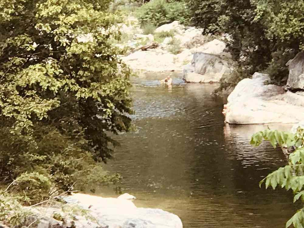 陕西勉县发生一起溺水事故 5人不幸溺亡(图6)