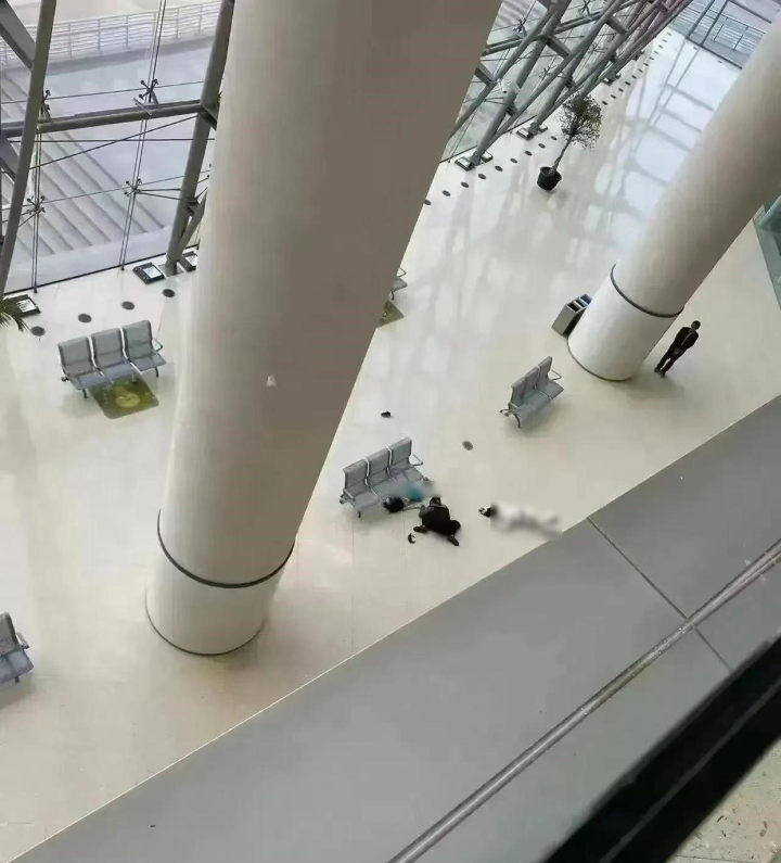 上海科技馆突发坠楼事故母女双双遇难 安全防护引质疑(图1)