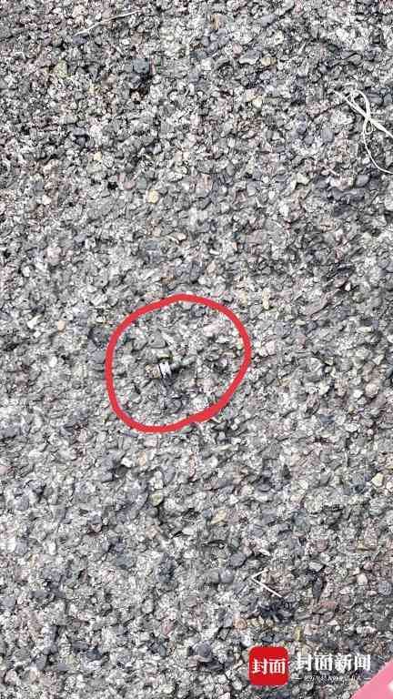 重庆聚贤岩隧道摩托车相撞致4人死亡 两车高速逆向行驶酿悲剧(图2)